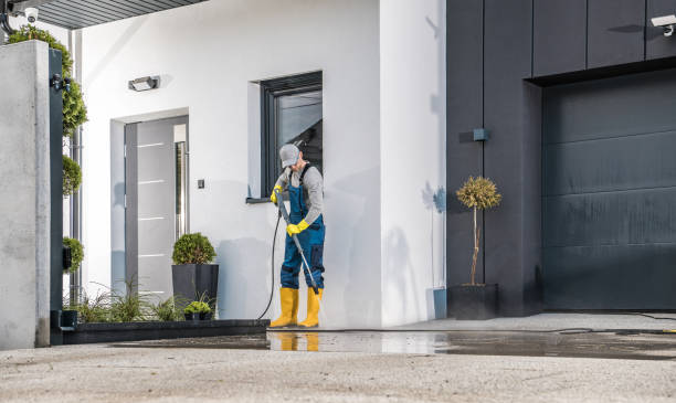 Animal Enclosure Cleaning in Dundee, FL